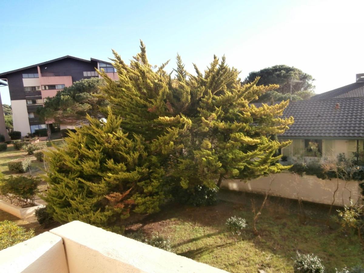 Appartement Renove Avec Balcon, Proche Plage Et Marche - 4 Pers, Calme & Confort A Seignosse - Fr-1-239-460 Exterior foto